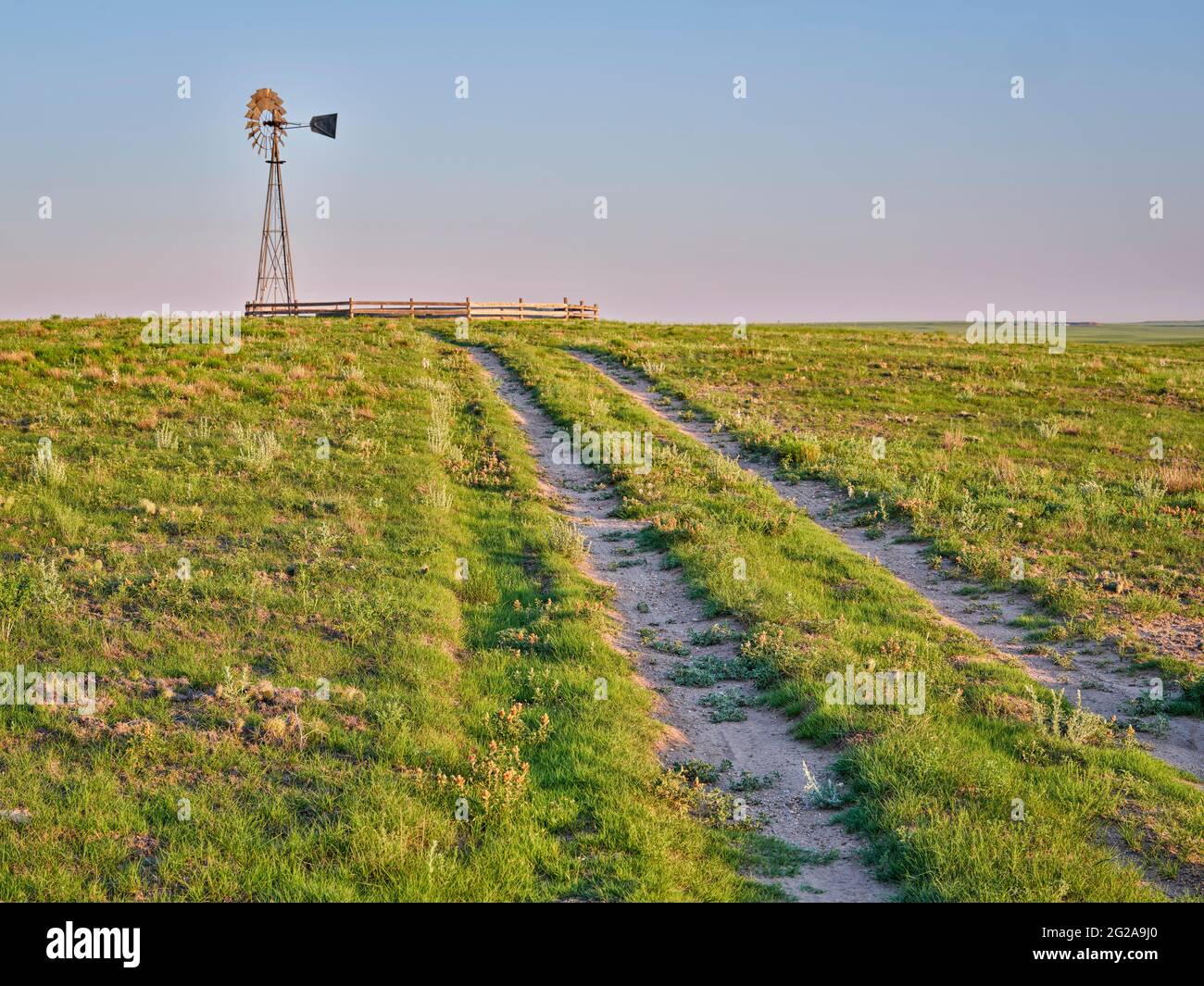 Unbefestigte Straße in einer grünen Prärie, die zu einer Windmühle mit einer Wasserpumpe in der Kurzgrasprärie, Pawnee National Grassland in Colorado führt Stockfoto