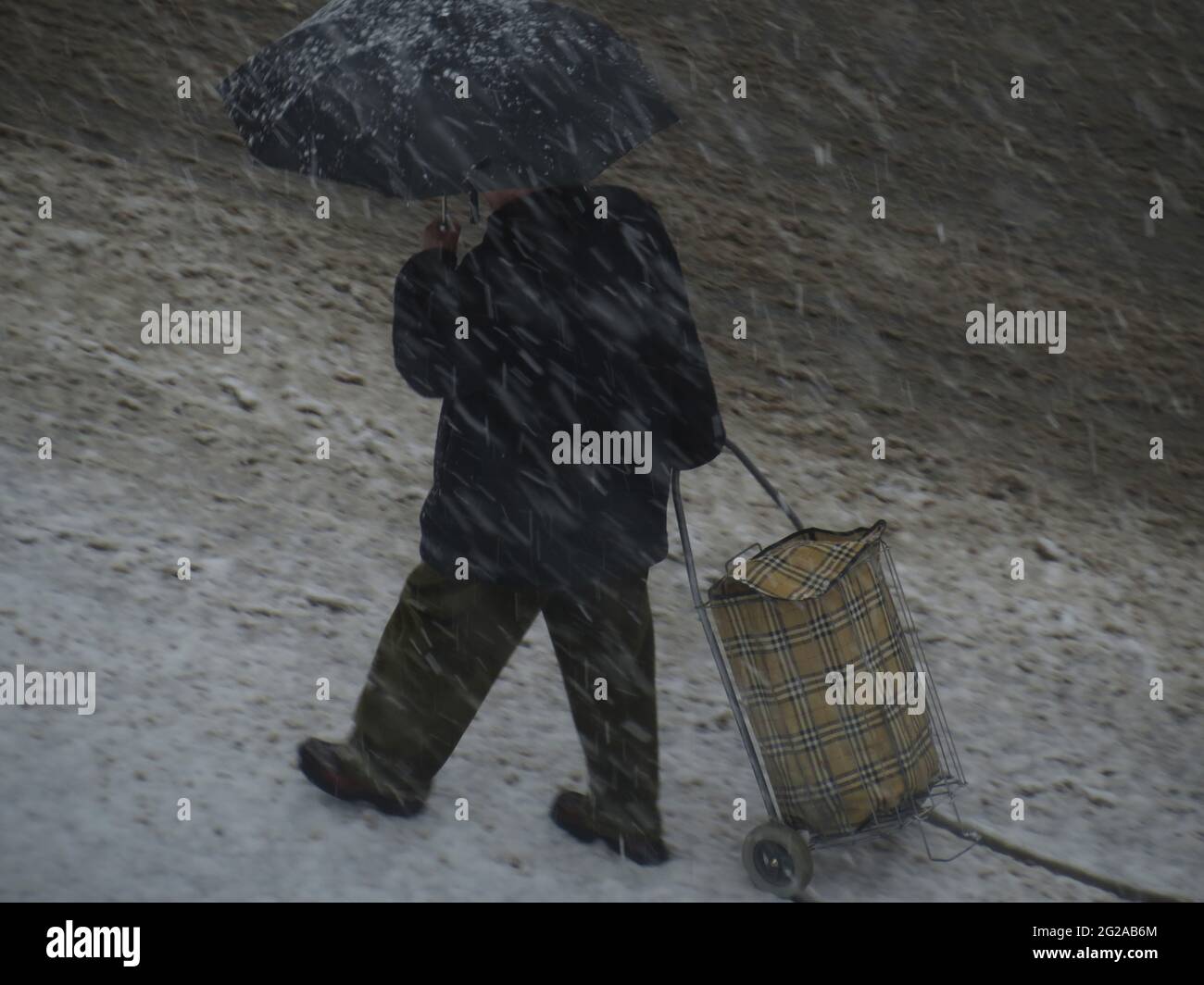 Ein Mann, der mit einem Regenschirm Schutz bietet, läuft unter einem Schneesturm in Rom und zieht einen Einkaufswagen Stockfoto