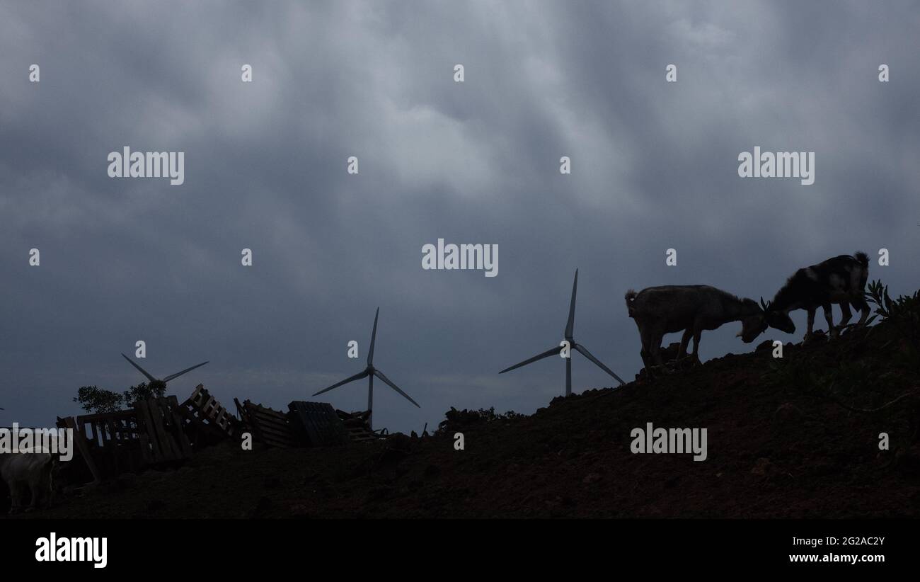 Das kombinierte Wasserkraftwerk von Gorona del Viento, das aus fünf Windmühlen und einer Wasserdepot besteht und El Hierro seine grüne Energie verleiht. Stockfoto