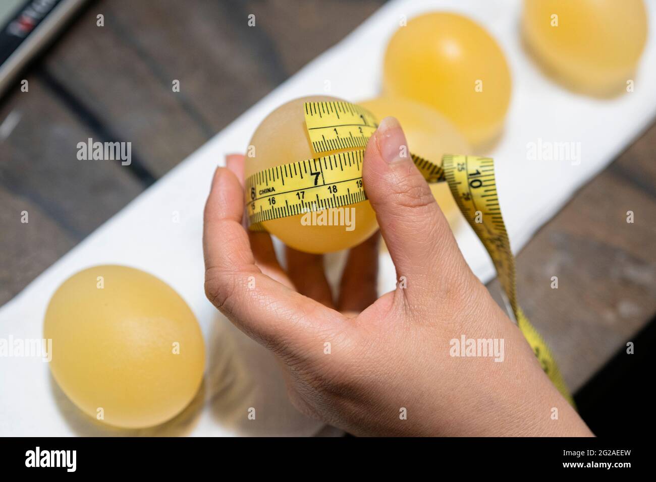 New York, USA - 7. März 2021: Student, der nach einem Experiment im Umkehrosmoselabor Messungen an einem Ei macht, indem er das Ei in Essig und Maissirup einweicht Stockfoto