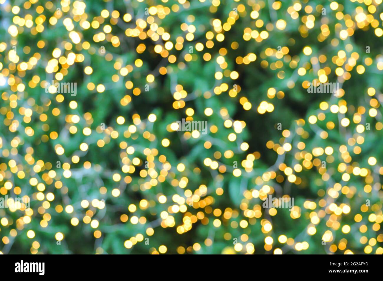 Dekoratives Licht auf weihnachtsbaum - Bokeh abstrakten Hintergrund Stockfoto