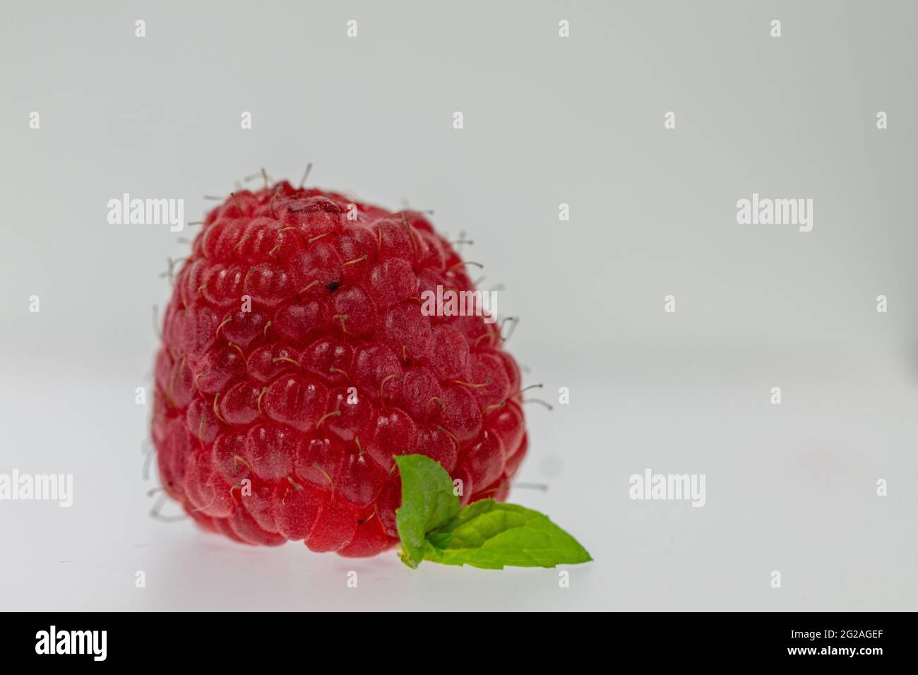 Nahaufnahme einer makroroten Himbeere mit einem kleinen grünen Blatt auf weißem Hintergrund Stockfoto