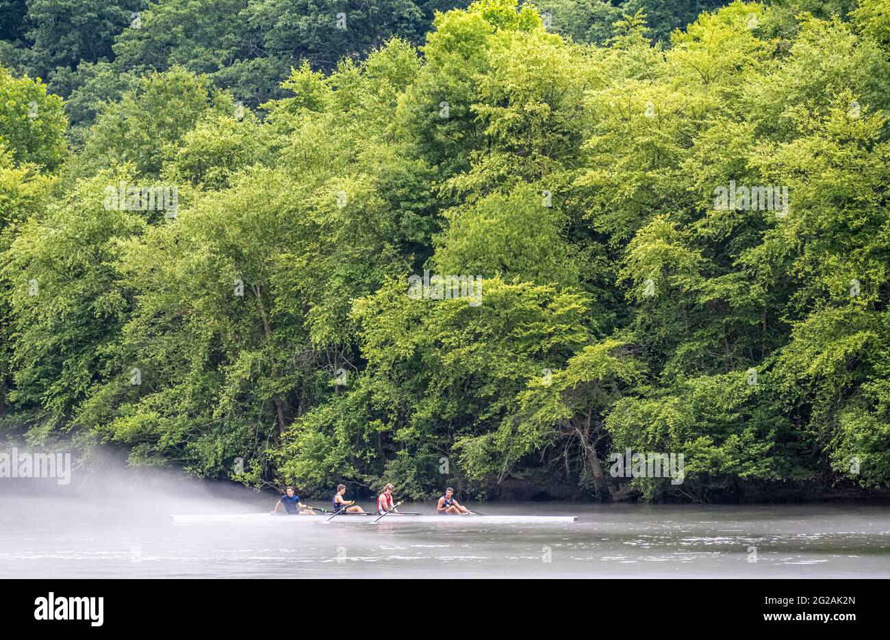 Ruderteam am Chattahoochee River in Roswell, Georgia, während Nebel auf- und abdriftet. (USA) Stockfoto