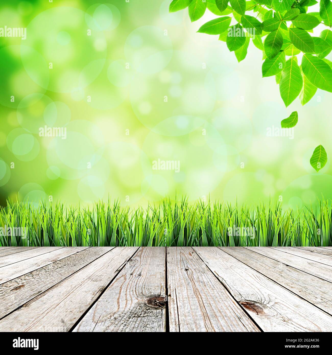 Holzdeck mit natürlichen grünen Blättern und Bokeh Hintergrund Stockfoto