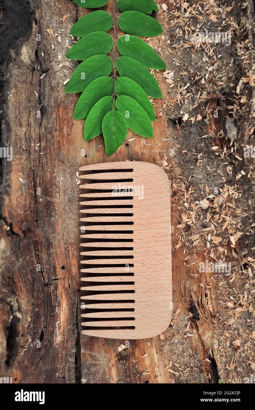 Holzkamm für Haar Öko Haarbürste, kein Kunststoffkonzept Stockfoto