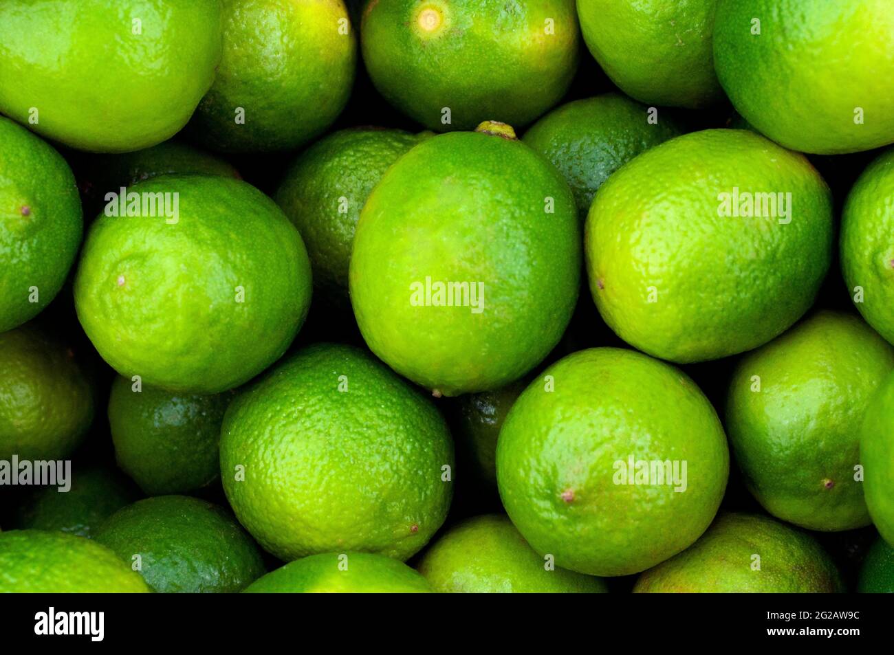 Zitrone Limette grüne Frucht. Nahaufnahme des Hintergrundbildes. Illustration für die Erntezeit, Landwirtschaft, verschiedene Obstsorten. Stockfoto