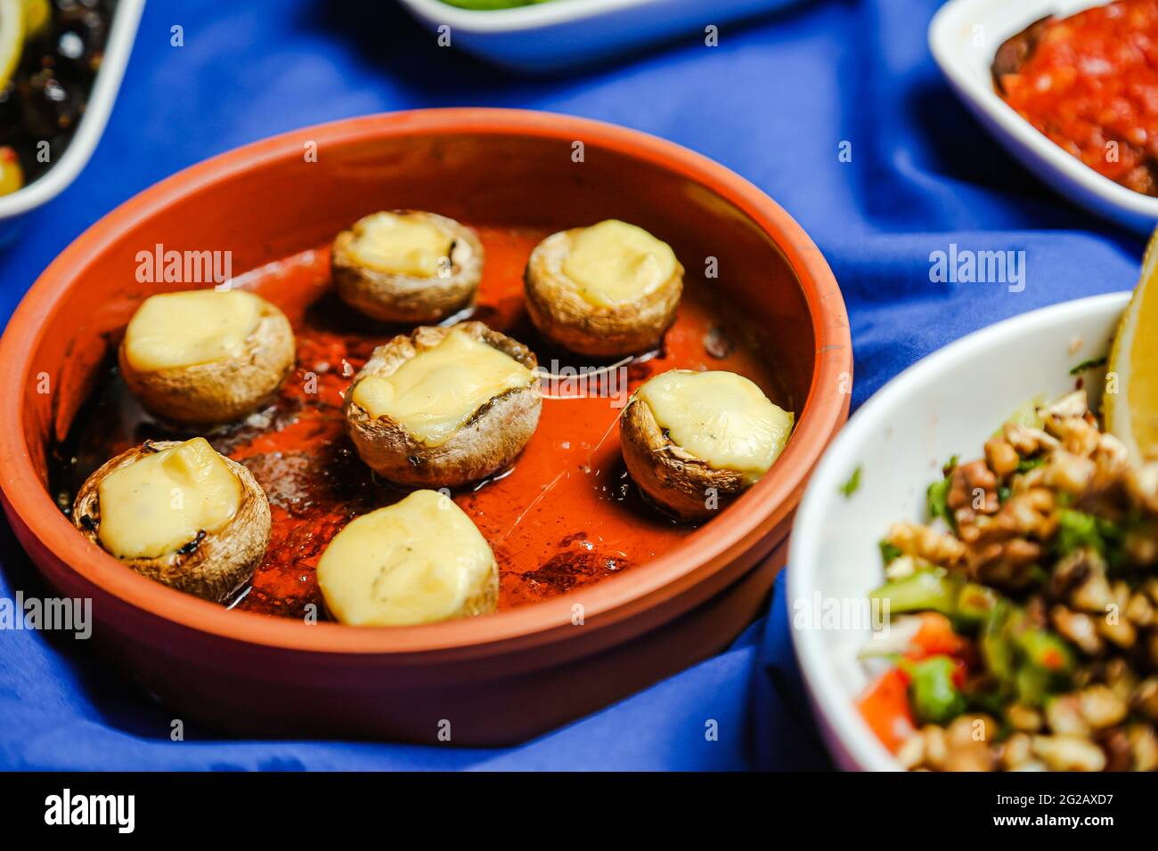 Portobello Pilzkäe mit blauem Hintergrund rot Stockfoto