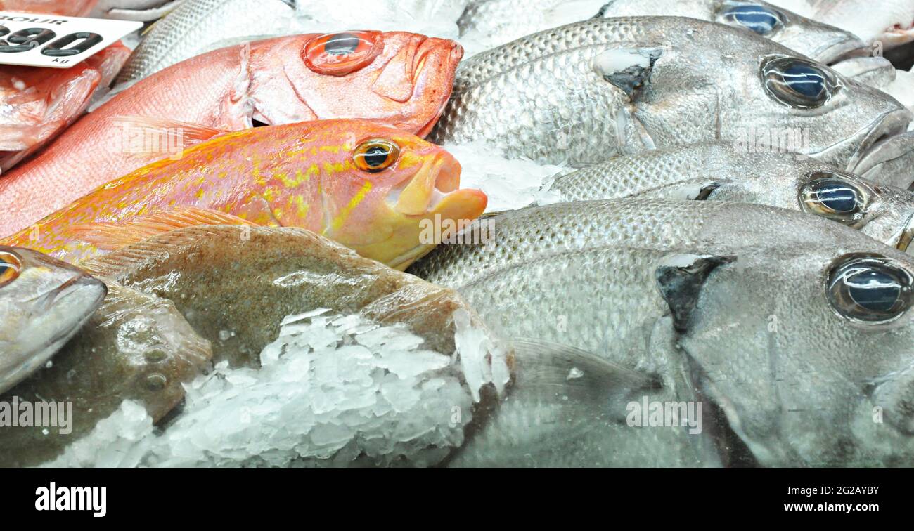 Fisch und Meeresfrüchte Stockfoto