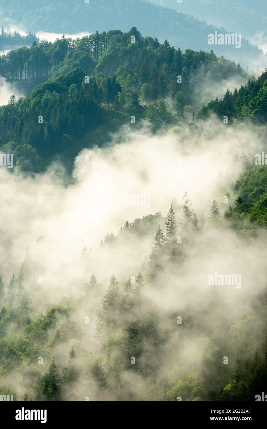 Nebel über dem südlichen Schwarzwald schoss in der Nähe von St. Maergen Stockfoto