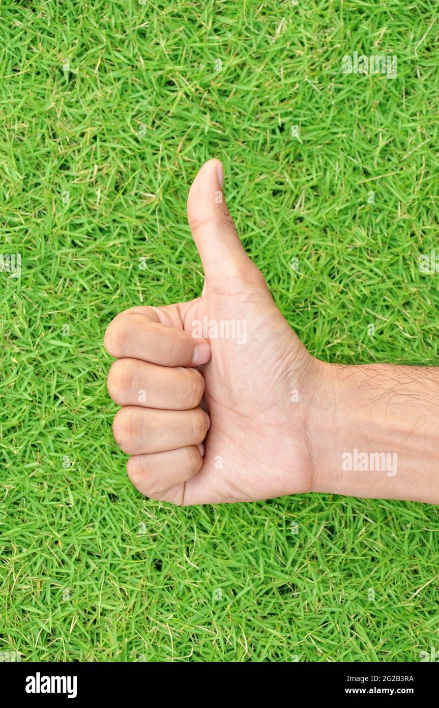 Daumen nach oben auf grünem Gras Hintergrund Stockfoto
