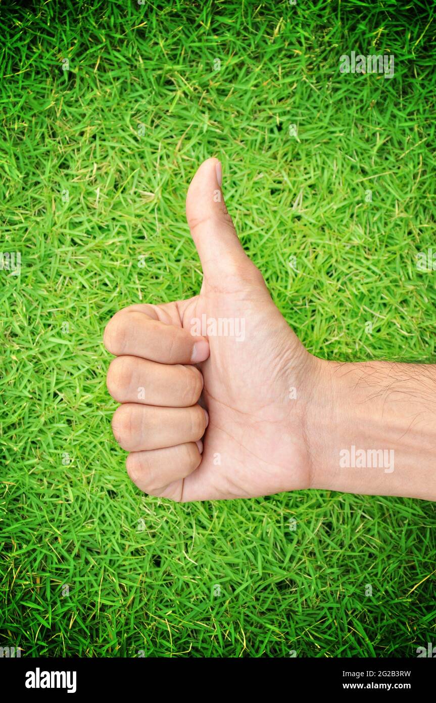 Daumen nach oben auf grünem Gras Hintergrund Stockfoto