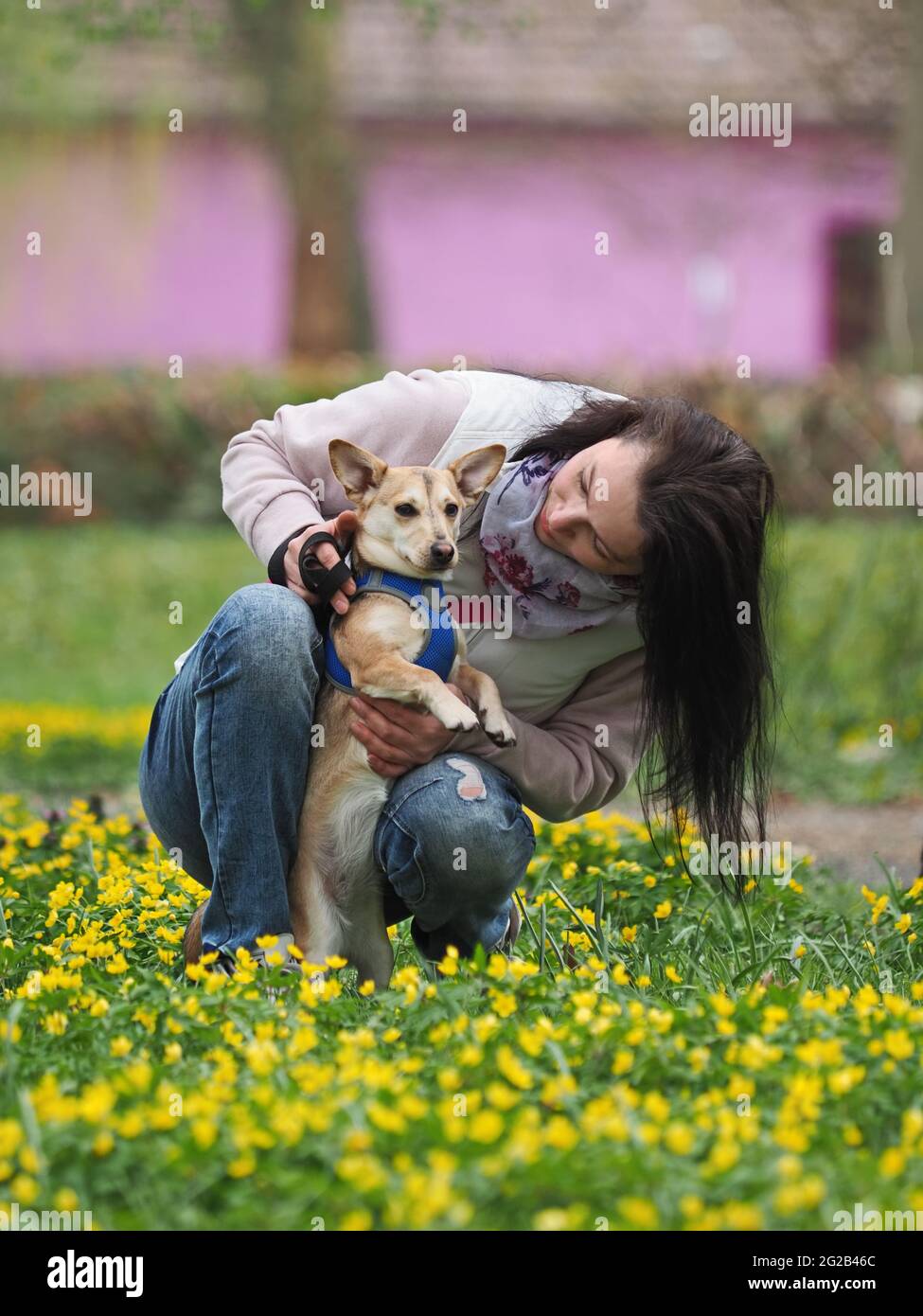 Erwachsene nette Frau geht den kleinen Hund im Frühling Stockfoto