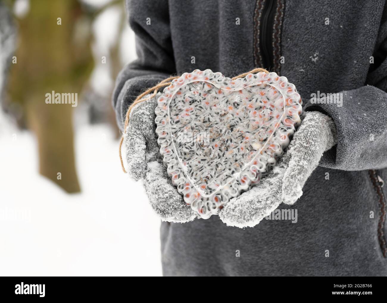Hände in grauen Handschuhen, die einen herzförmigen hausgemachten Vogelkernkuchen im verschneiten Wintergarten halten. Stockfoto