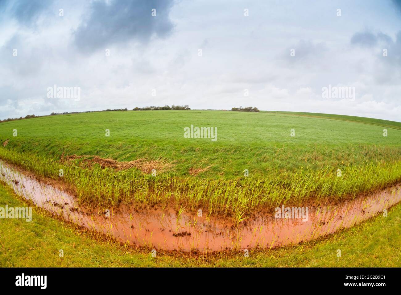 Landwirtschaftlich typische Landschaft mit Fischaugeneffekt, Texel, Niederlande Stockfoto
