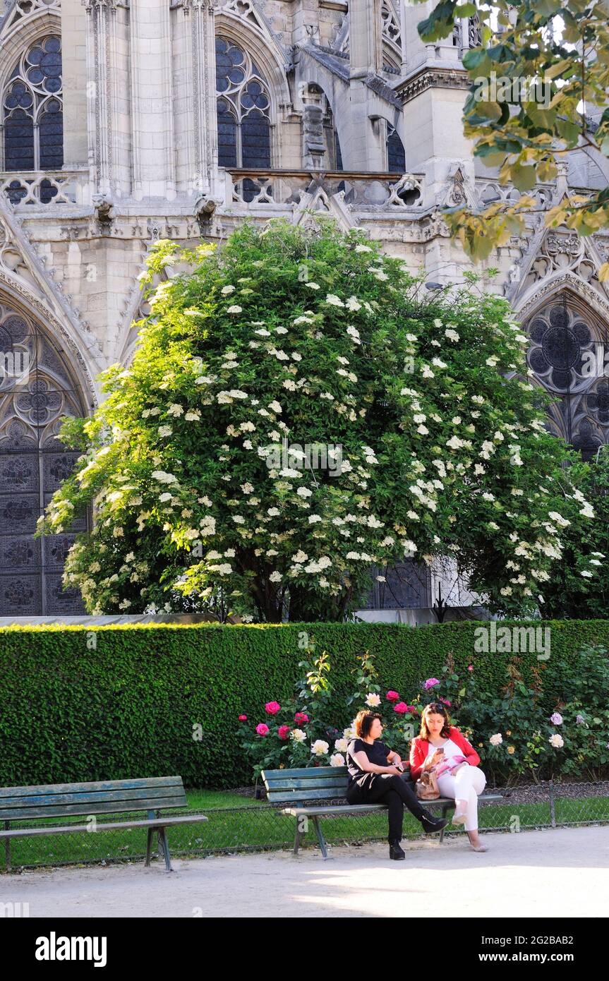 FRANKREICH, PARIS (75) 4. ARRONDISSEMENT, DIE KAIS DER SEINE, ILE DE LA CITE, APSIS DER KATHEDRALE NOTRE-DAME BLICK VOM PLATZ JEAN XXIII Stockfoto