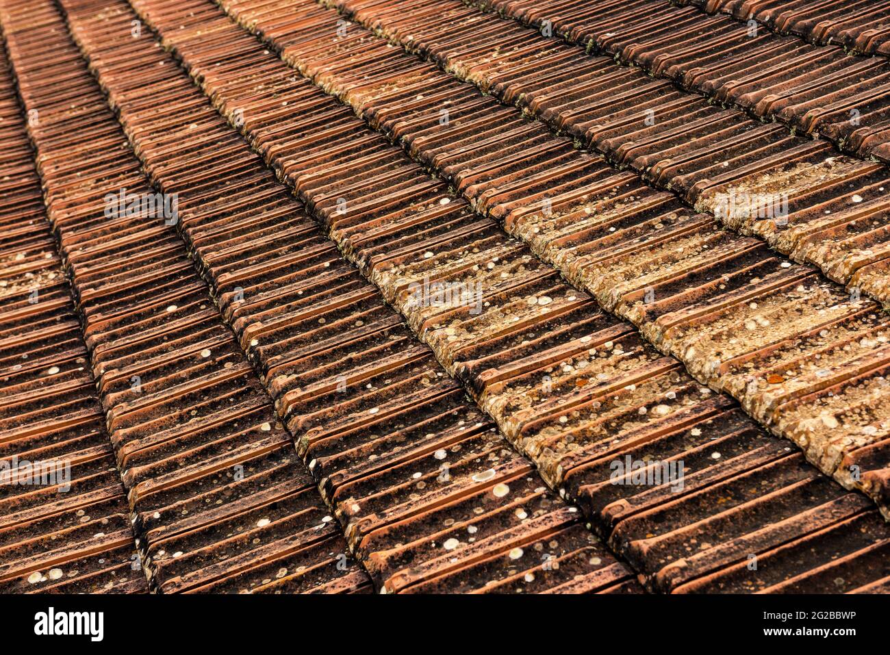 Alte orange Fliesen mit grünem Moos bedeckt. Verrosttes rotes Ziegeldach. Abstraktes geometrisches Muster Hintergrund oder rustikale Textur. Stockfoto