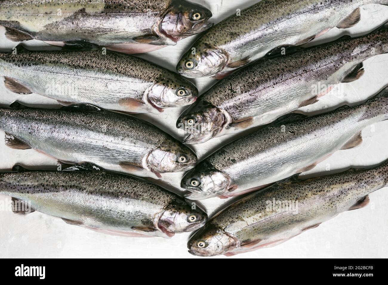 Roher, geschälter Regenbogenforellenfisch, bereit zum Kochen. Gesundes Herzessen. Menükonzept. Draufsicht. Stockfoto