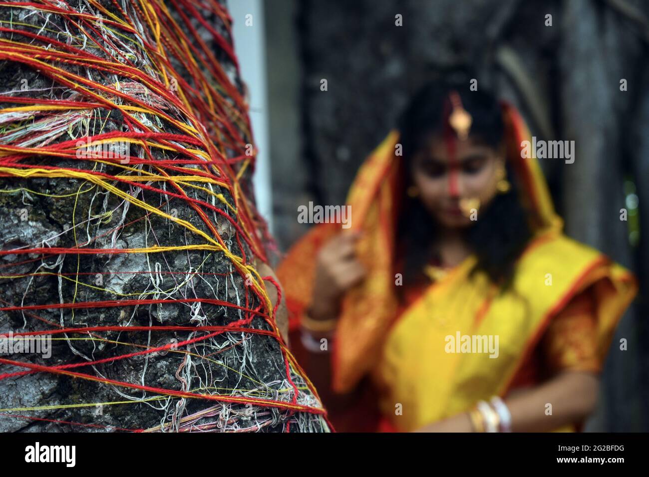 Kalkutta, Indien. Juni 2021. Ein Banyan-Baum ist anlässlich der VAT Savitri Puja inmitten der Ausbreitung des Covid-19 (Coronavirus) in Kalkutta mit zeremoniellen Fäden bedeckt. (Foto von Sudipta das/Pacific Press) Quelle: Pacific Press Media Production Corp./Alamy Live News Stockfoto