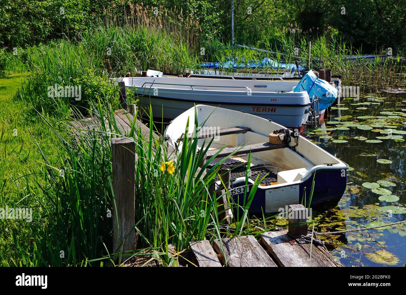 Kleine Boote, die in einem Deich in den Norfolk Broads in Pennygate Staithe, Barton Turf, Norfolk, England, Vereinigtes Königreich, festgebunden sind. Stockfoto