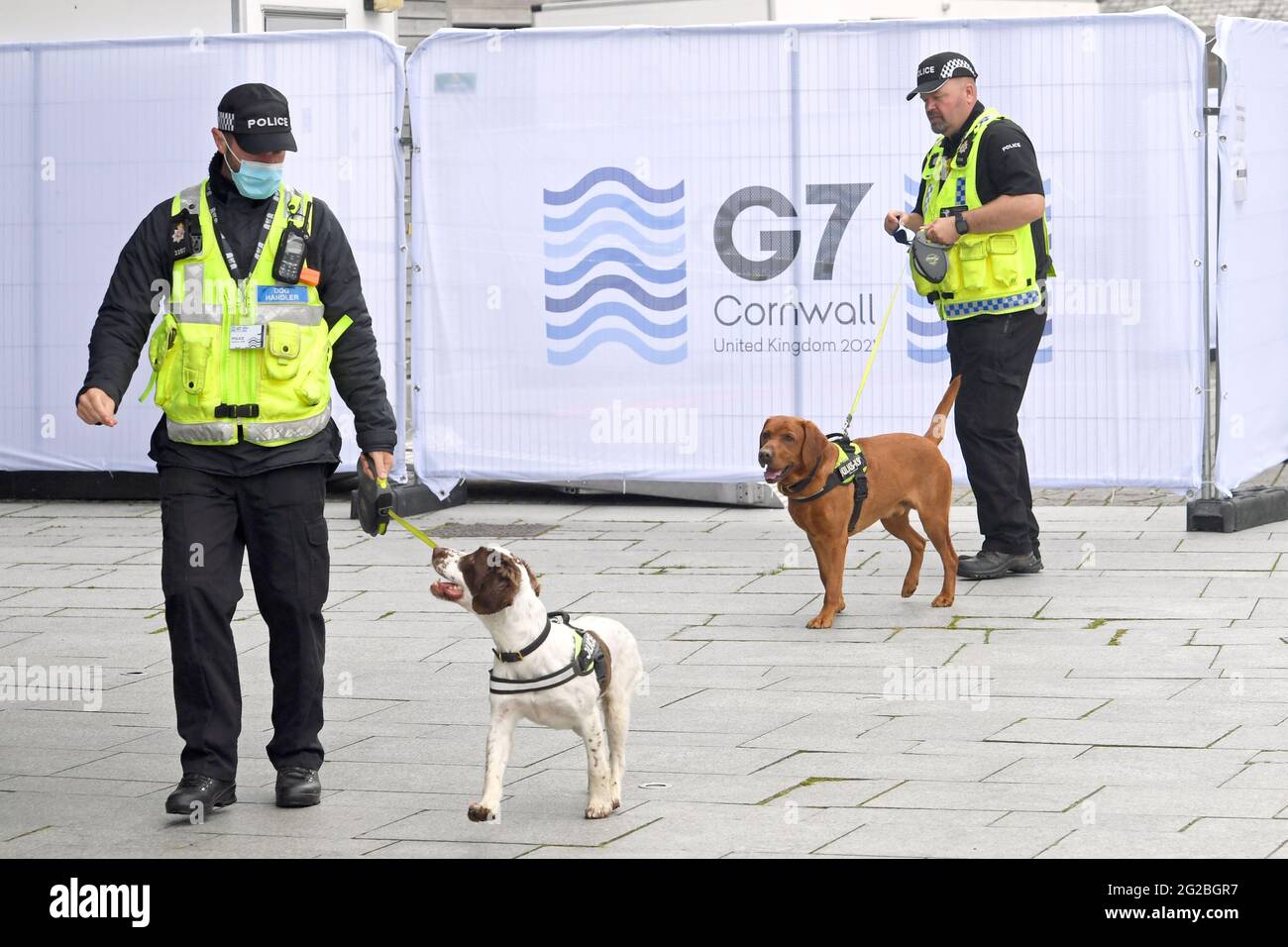 Polizeihunde mit Handlern im G7-Medienzentrum in Falmouth, vor dem G7-Gipfel in Cornwall. Bilddatum: Donnerstag, 10. Juni 2021. Stockfoto