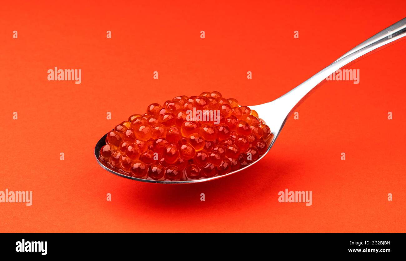 Kaviar aus rotem Lachs in Metalllöffel isoliert auf rotem Hintergrund Stockfoto
