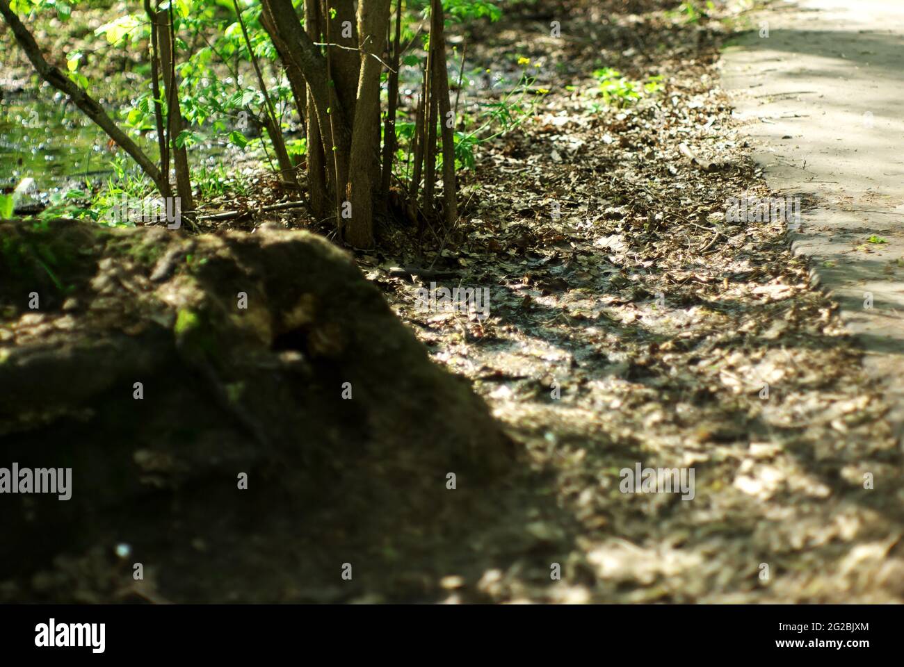 Gepflasterter Weg im Park im Frühjahr, moskau Stockfoto