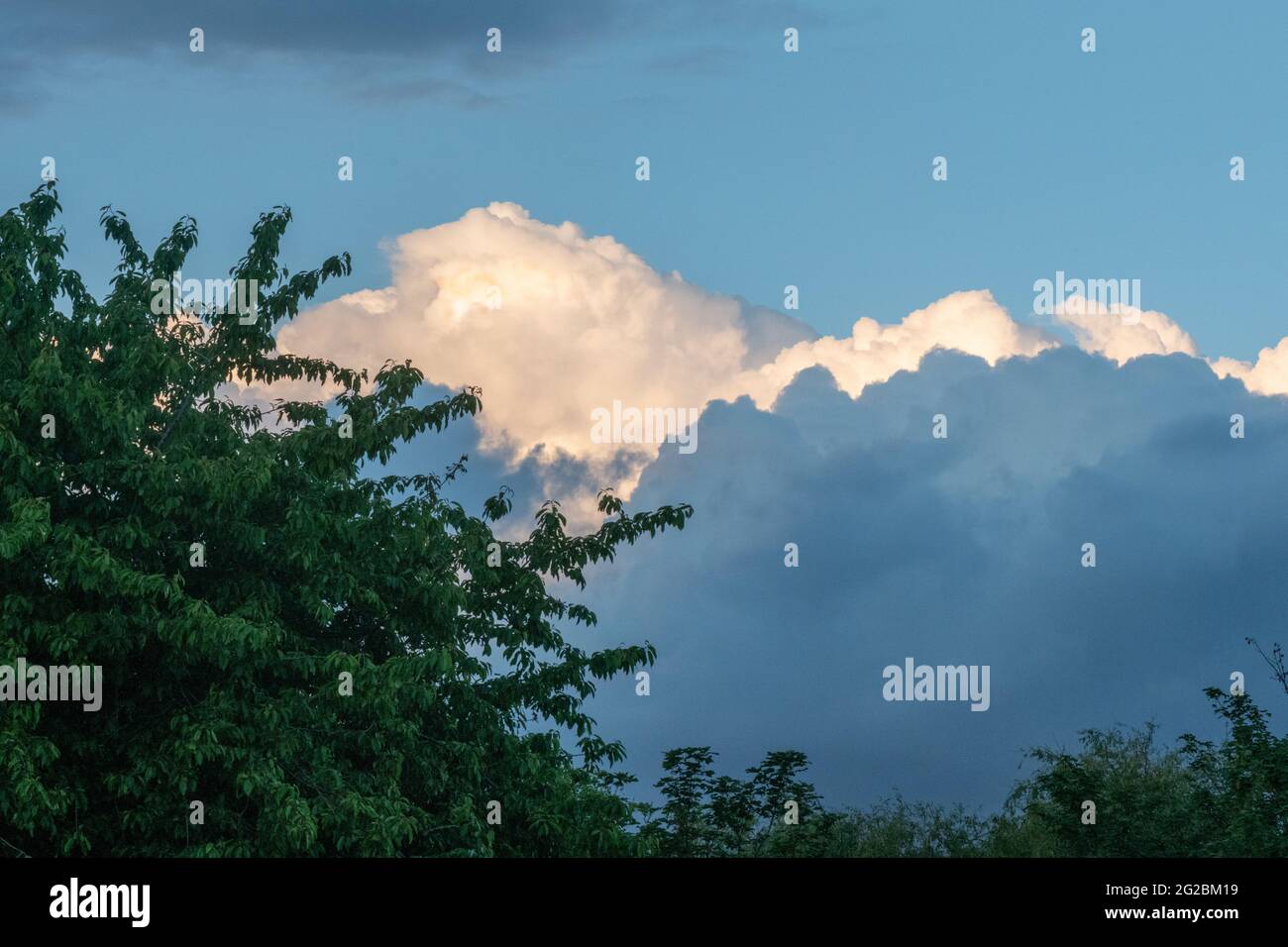 Graue Wolken vor weißen Wolken am Abendhimmel über einem Baum Stockfoto
