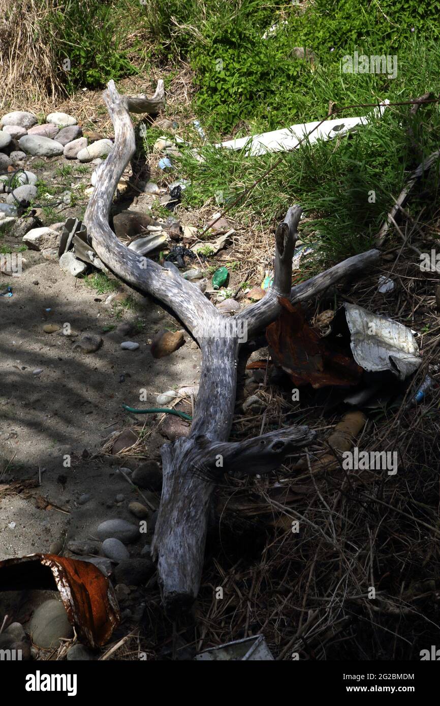 Grenada Treibholz und Müll am Strand in der Nähe von Gouyave Stockfoto