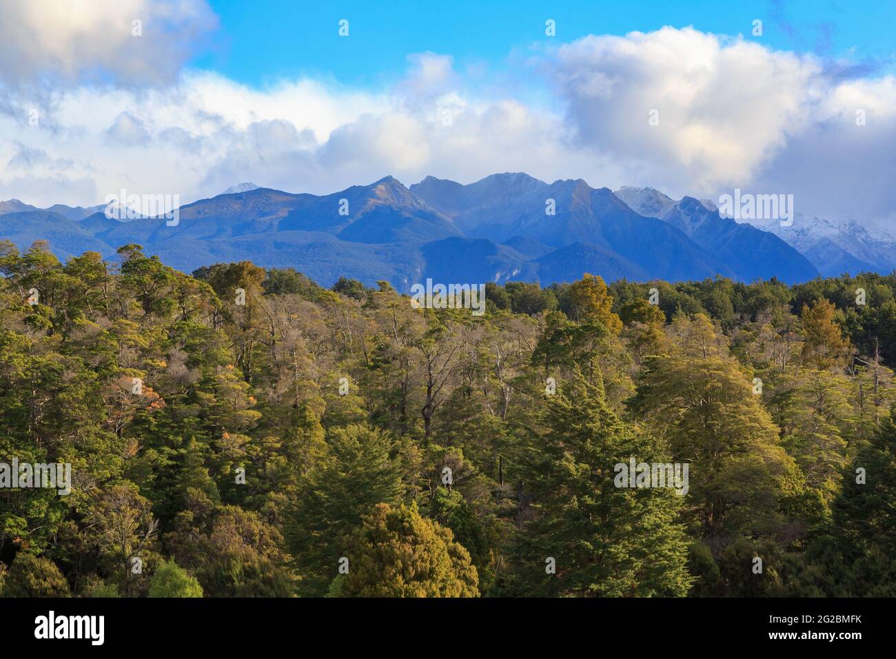 Landschaft in Fiordland, Neuseeland. Berge erheben sich aus dichtem Urwald Stockfoto