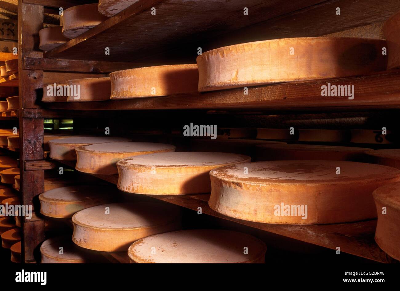 FRANKREICH. HAUTE-SAVOIE (74) TAL VON ABONDANCE. SKIGEBIET LES PORTES DU SOLEIL. ABONDANCE KÄSEKELLER EINER FARM Stockfoto