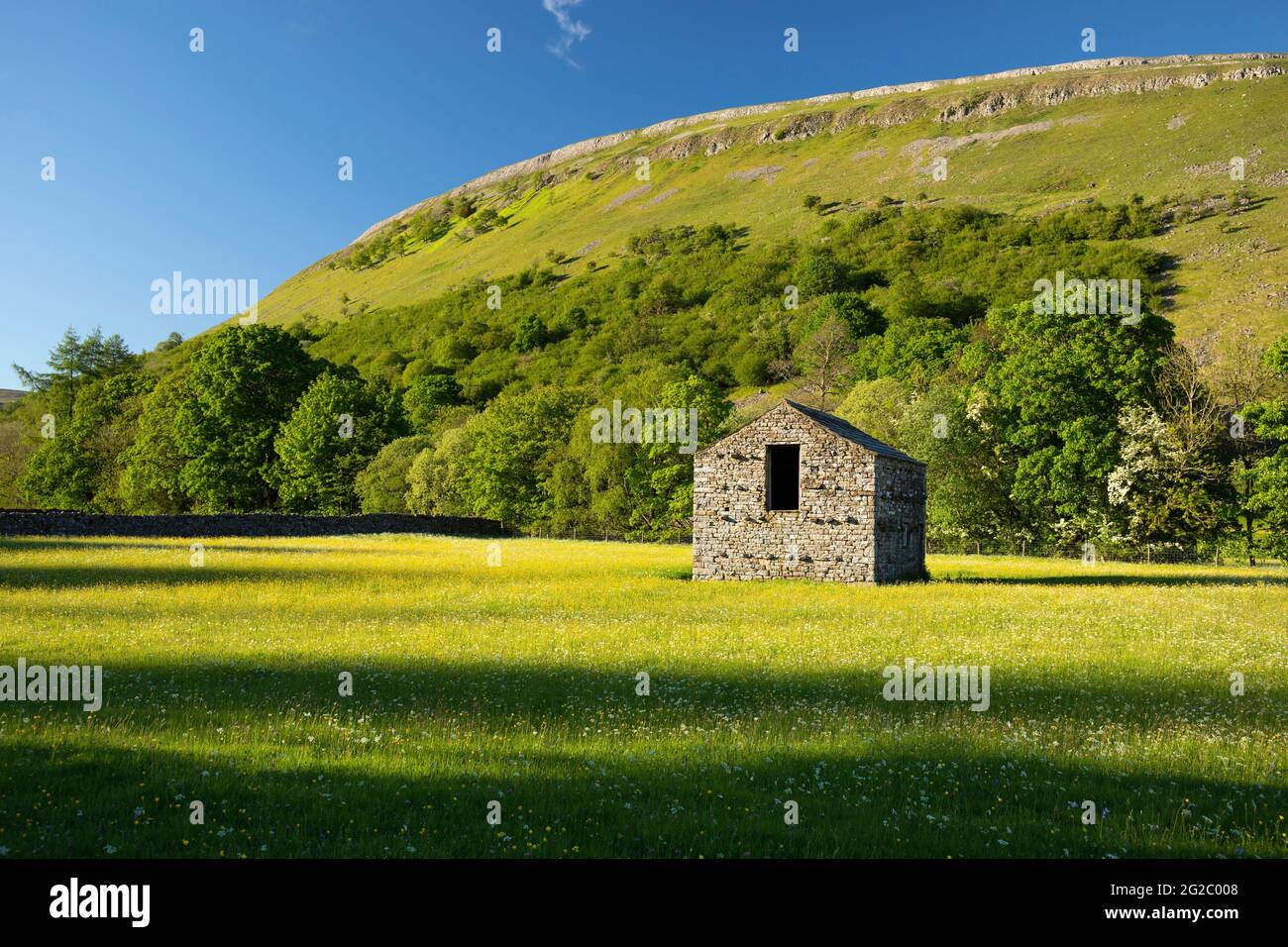 Steinfeldscheune und Hay Meadow in Muker, Swaledale, Yorkshire Dales, North Yorkshire, Großbritannien Stockfoto