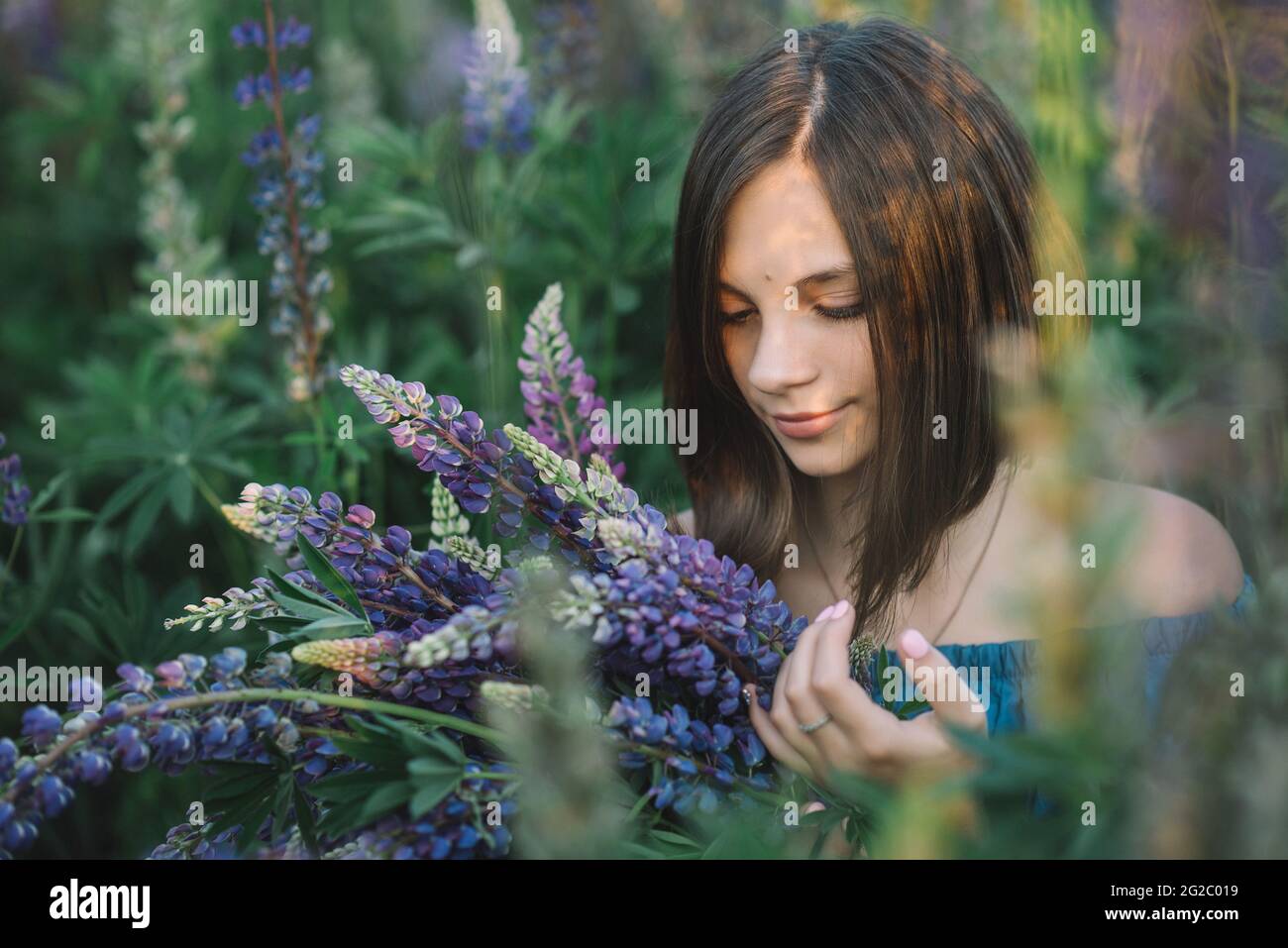 Junge schöne Mädchen mit einem Bouquet von lila Lupinen auf einem Feld bei Sonnenuntergang. Naturkonzept. Stockfoto