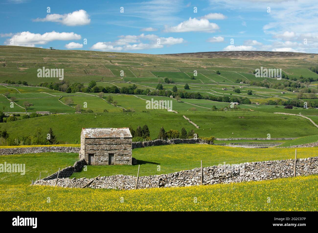Traditionelle Feldbuden und Trockenmauern mit Blick über Wensleydale von Bainbridge, Wensleydale, Yorkshire Dales, Großbritannien Stockfoto