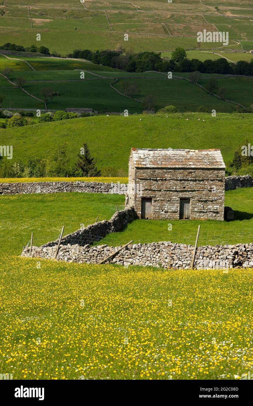 Blauer Himmel; großbritannien; britische Inseln; Land; david; Trockensteinmauern; Feldscheune; Scheunen; Felder; Heuwiese; Heuwiesen; Wildblumenwiesen; Mo Stockfoto