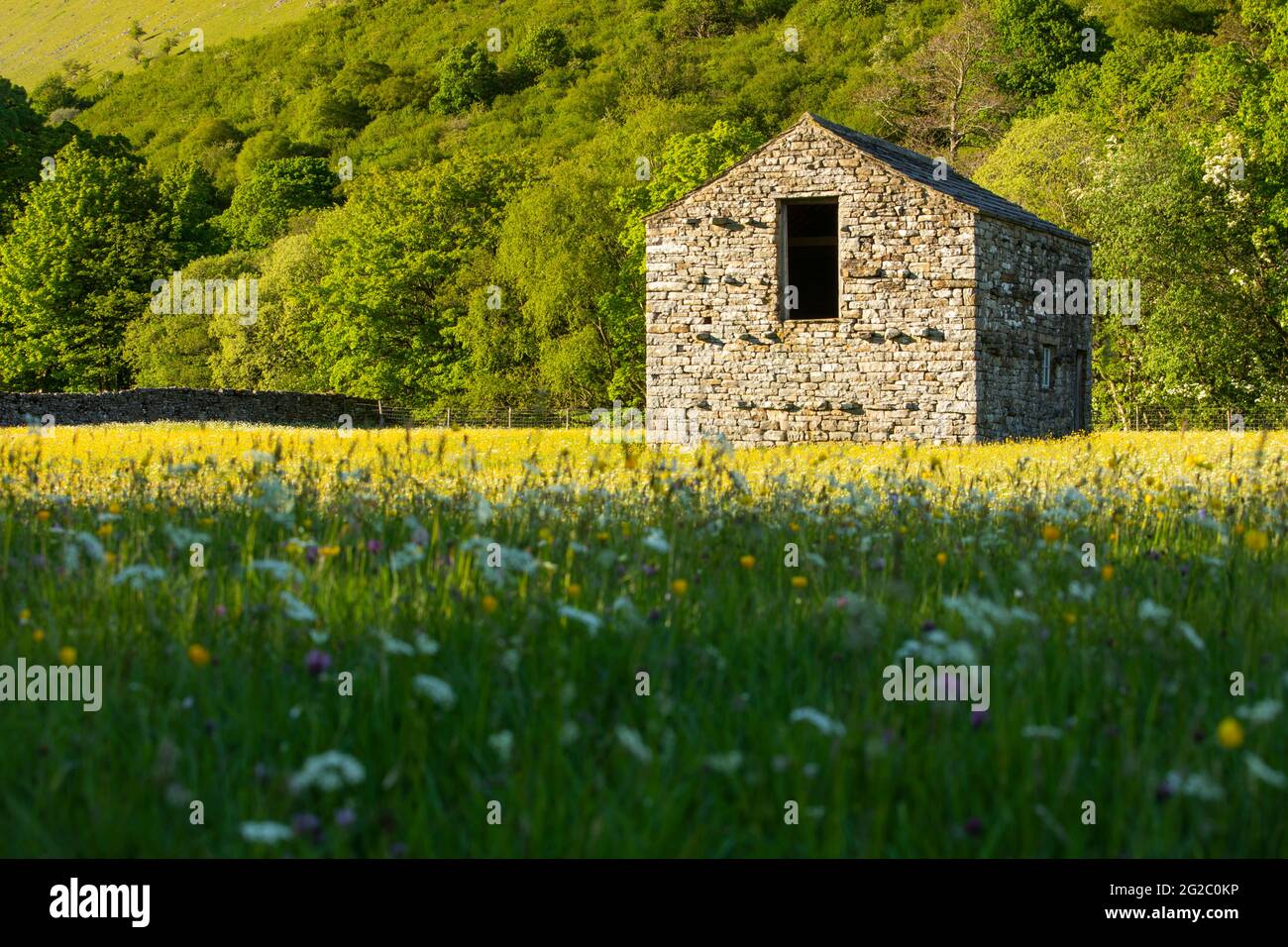 Steinfeldscheune und blühende Heuwiese in Muker, Swaledale, Yorkshire Dales, North Yorkshire, Großbritannien Stockfoto