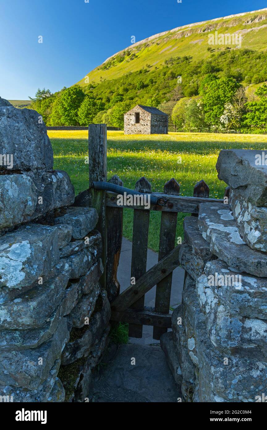 Steinfeldscheune und blühende Heuwiese, Muker, Swaledale, Yorkshire Dales, North Yorkshire, VEREINIGTES KÖNIGREICH Stockfoto