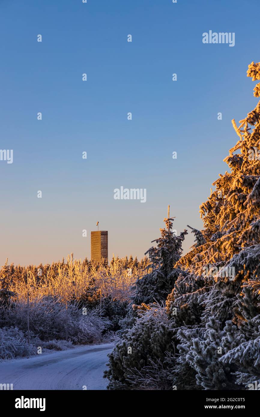 Aussichtsturm, Velka Destna, Orlicke Berge, Ostböhmen, Tschechische Republik Stockfoto