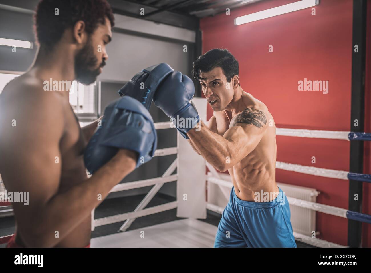 Junge Männer kämpfen auf einem Boxring und sehen entschlossen aus Stockfoto