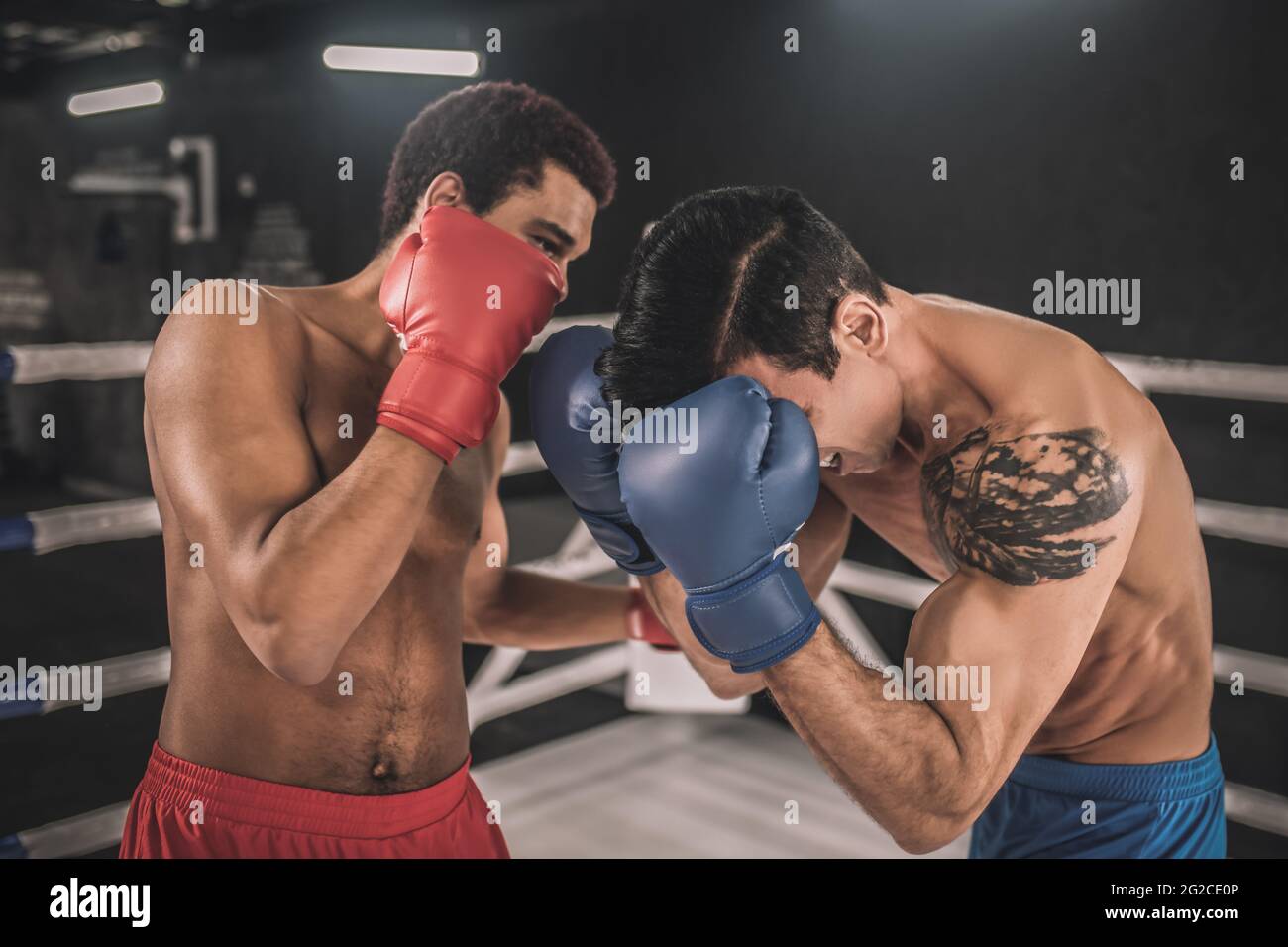 Zwei Kickboxer kämpfen auf einem Boxring und sehen aggressiv aus Stockfoto