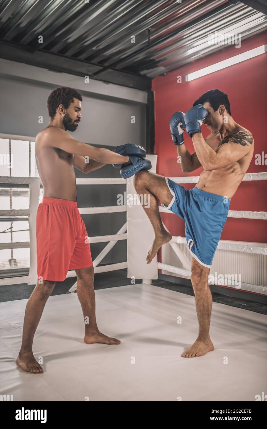 Kickboxer kämpfen auf einem Boxring und sehen involviert aus Stockfoto