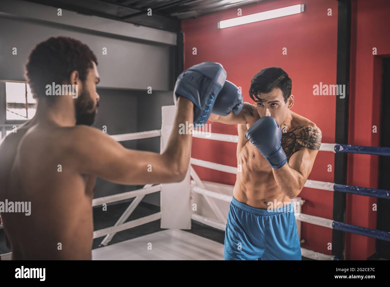 Junge Männer kämpfen auf einem Boxring und sehen entschlossen aus Stockfoto