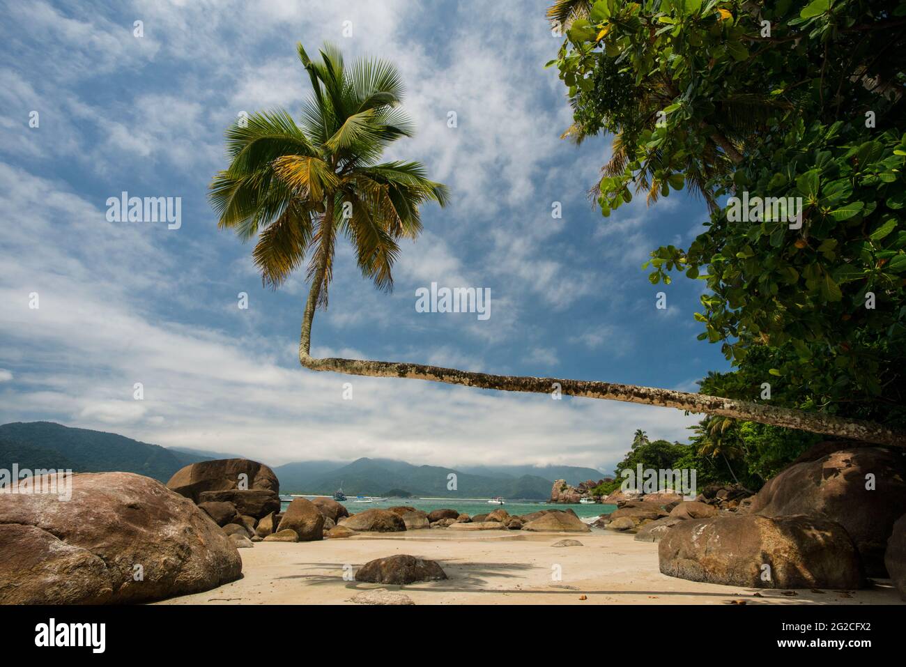 Palmen, Brasilianische Insel, Strand. Weißer Sand und blauer Himmel. Lifestyle-Traum. Praia do Aventureiro, Ilha Grande, Brasilien Paradies auf Erden Stockfoto