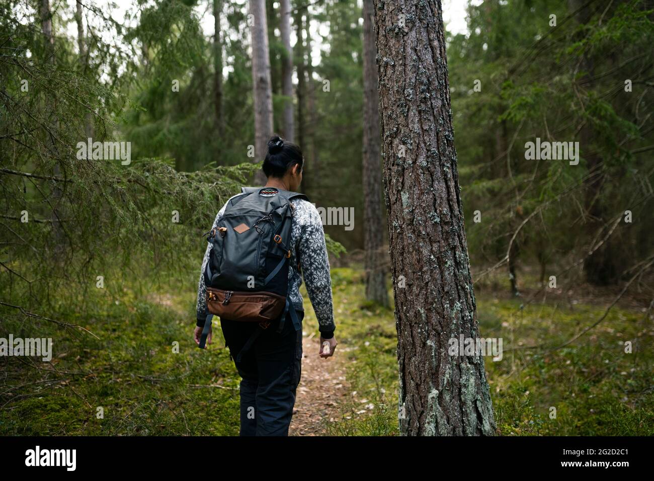 Frau, die im Wald entlang des Pfades wandert Stockfoto