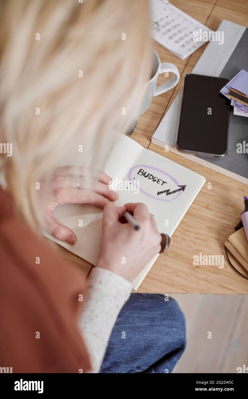 Frau, die Finanzen plant Stockfoto