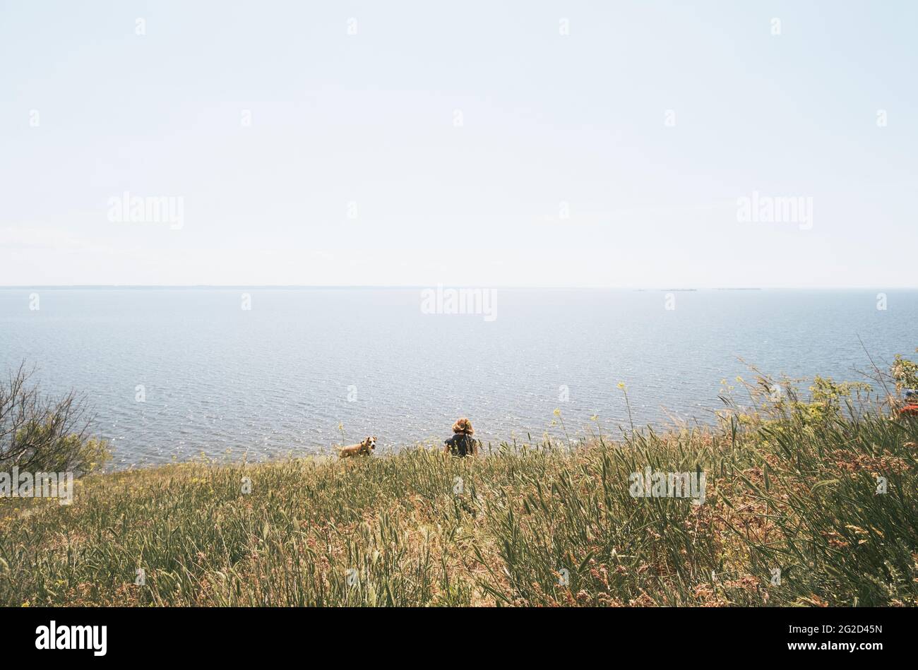 Frau, die im grünen Gras am großen See oder an der Bucht sitzt, aktiv mit Hunden Urlaub macht, Sommersaison Stockfoto