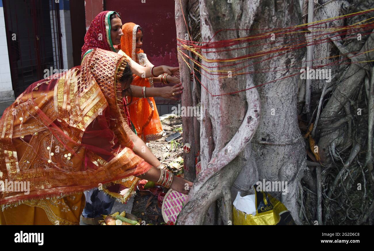 Guwahati, Guwahati, Indien. Juni 2021. Verheiratete Frauen der Bihari-Gemeinschaft beten am Donnerstag, den 10. Juni 2021, in der Nähe eines Banyan-Baumes anlässlich der VAT Savitri puja in Guwahati Assam India. MwSt. Savitri puja ist ein Hindu-Festival, das von der indischen Bihari-Gemeinschaft zum wohl ihres Mannes aufgeführt wird.Quelle: Dasarath Deka/ZUMA Wire/Alamy Live News Stockfoto