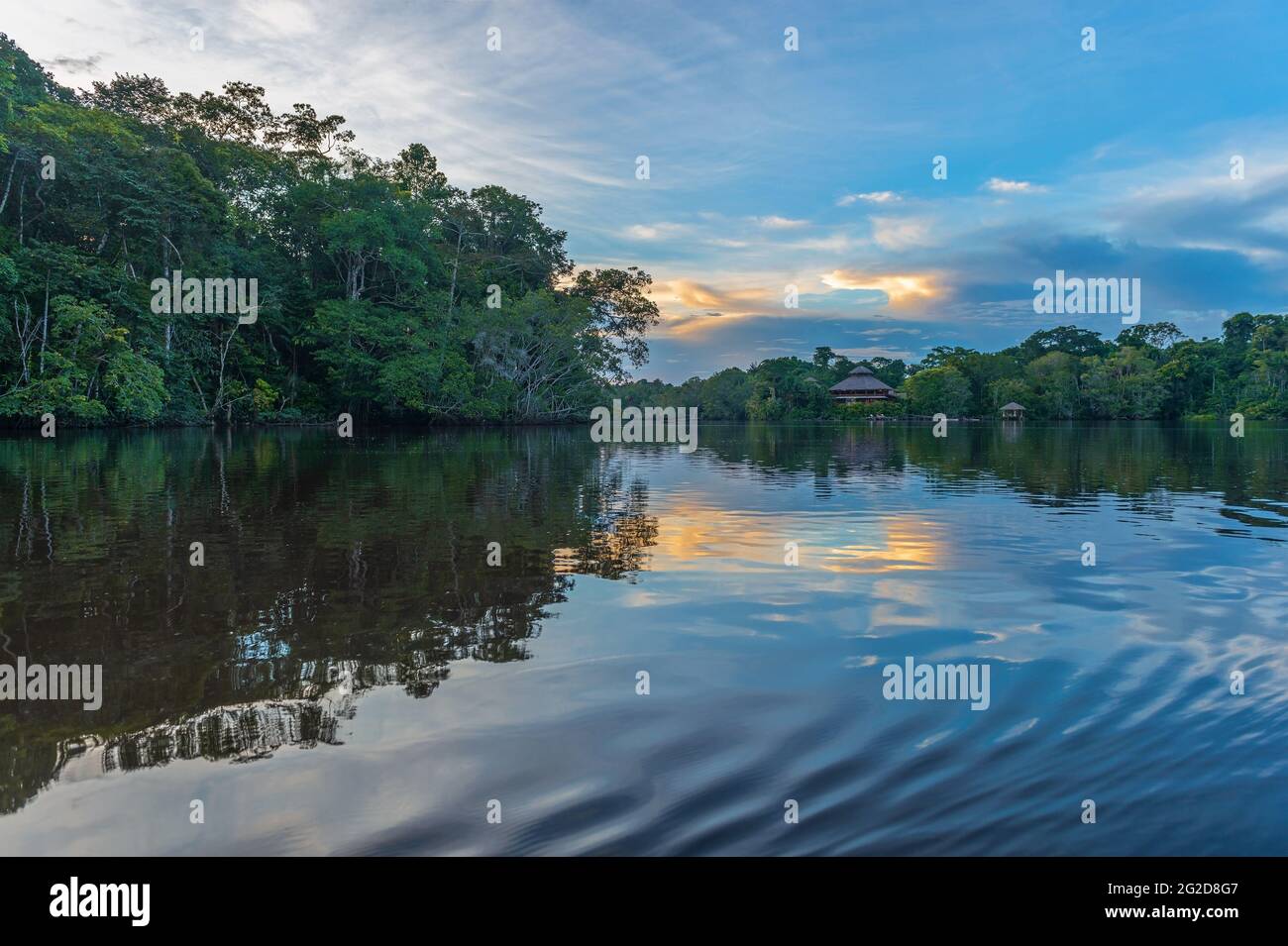 Amazonas-Fluss Regenwald Sonnenuntergang Reflexion. Amazonas-Dschungel befindet sich in Brasilien, Bolivien, Kolumbien, Ecuador, Französisch-Guyana, Peru, Surinam, Venezuela. Stockfoto