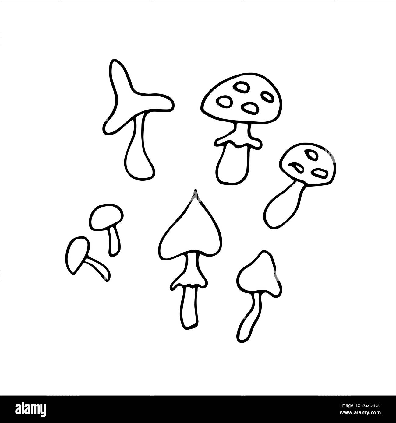 Set mit Kritzelpilzen. Handgezeichnete verschiedene nützliche, giftige Pilze isoliert auf weißem Hintergrund. Cartoon Symbol Wald, Natur, halloween, fliegen aga Stock Vektor