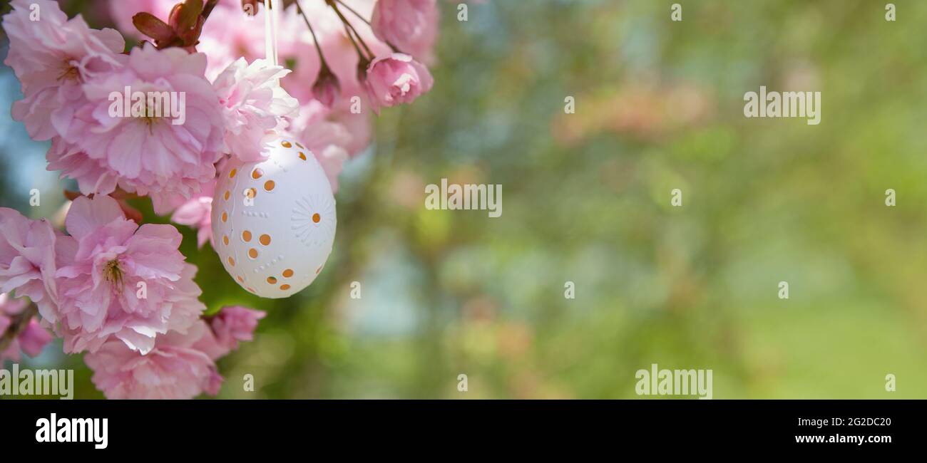Dekoratives Osterei, das an blühenden Kirschbäumen mit rosa Blüten hängt. Osterhintergrund. Blüht an einem sonnigen Frühlingstag. Selektiver Fokus Stockfoto