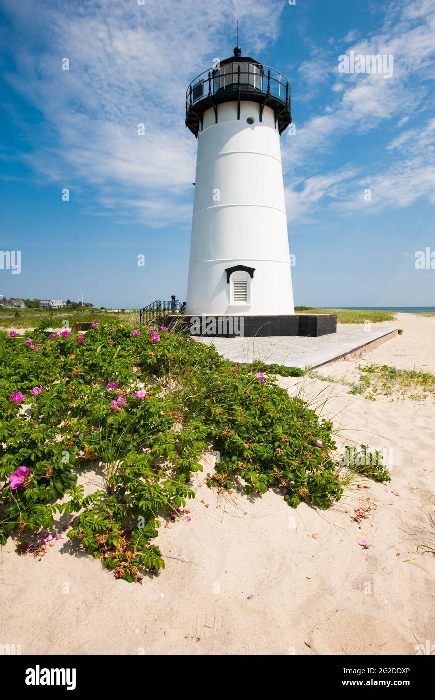 Edgartown Lighthouse am Strand mit Rosen, Edgartown, Martha's Vineyard, Massachusetts Stockfoto